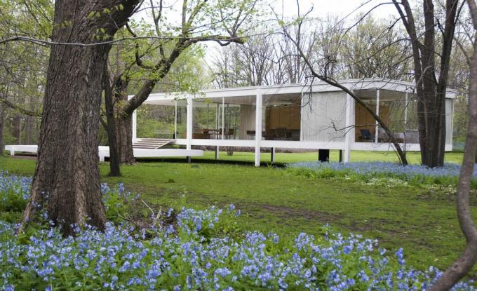 Yksi tarinalasinen laidallinen talo, joka on nostettu maasta laiturien laiturille puiden ja sinisten kukien keskellä