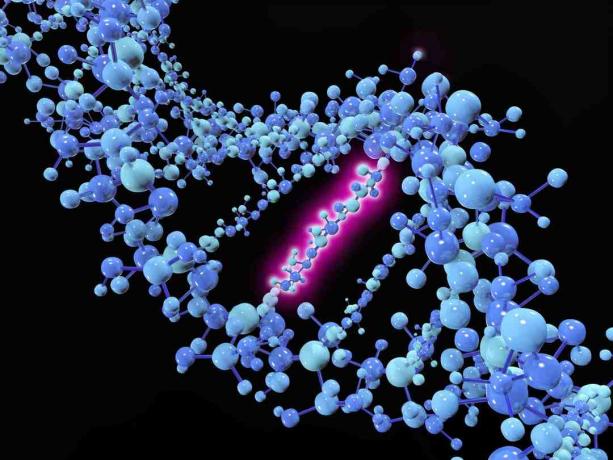 Pistemutaatio on geneettinen mutaatio, jossa yksittäistä nukleotidiemästä muutetaan, insertoidaan tai poistetaan DNA- tai RNA-sekvenssistä.