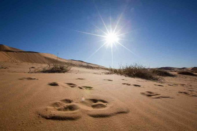 Hiekkadyynit sinistä taivasta ja kirkasta aurinkoa vasten