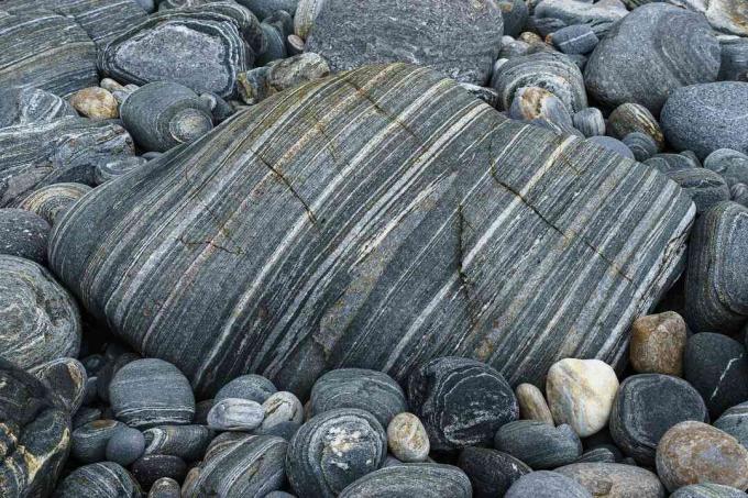 Banded gneiss