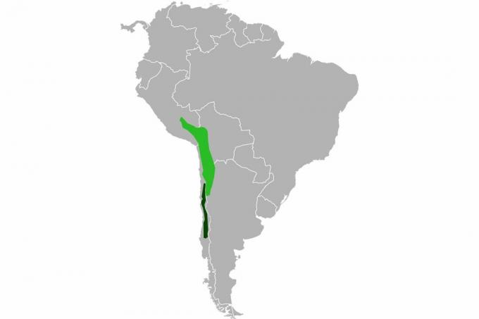 Kartta chinchilla-alueesta