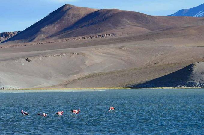 Atacama, Chile