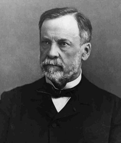 Tutkija Louis Pasteur