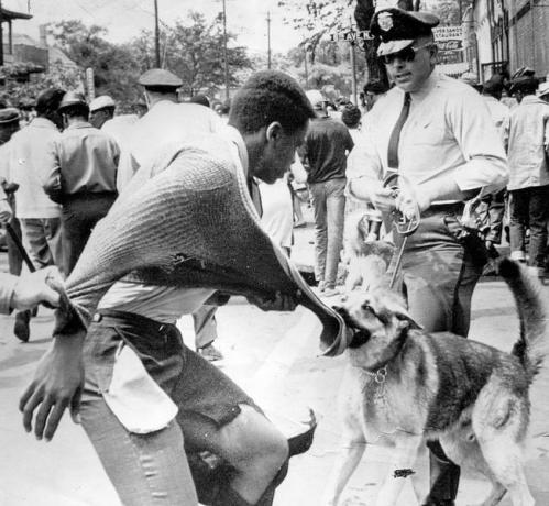 Musta amerikkalainen mielenosoittaja joutui poliisikoiran kimppuun erottelun vastaisten mielenosoitusten aikana, Birmingham, Alabama, 4. toukokuuta 1963.
