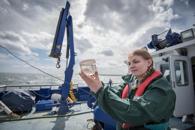 Naistutkija tarkastaa planktoninäytteen tutkimusaluksella