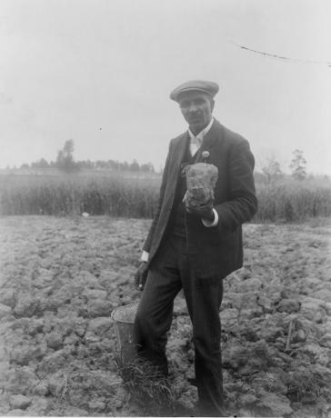 George Washington Carver, täyspitkä muotokuva, seisoo kentällä, luultavasti Tuskegeessa, pitäen maapalaa, 1906