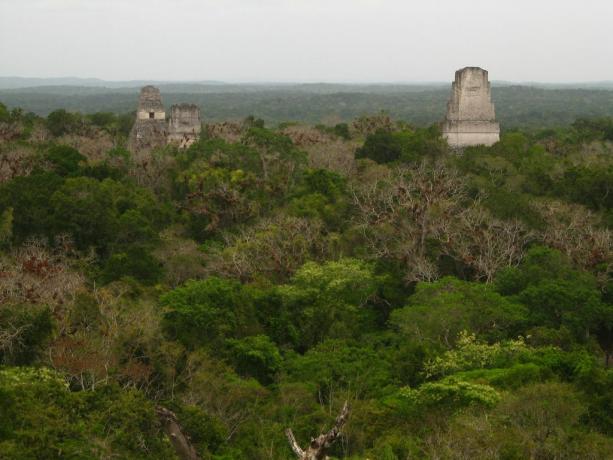 Tikal - kapinallisten tukikohta