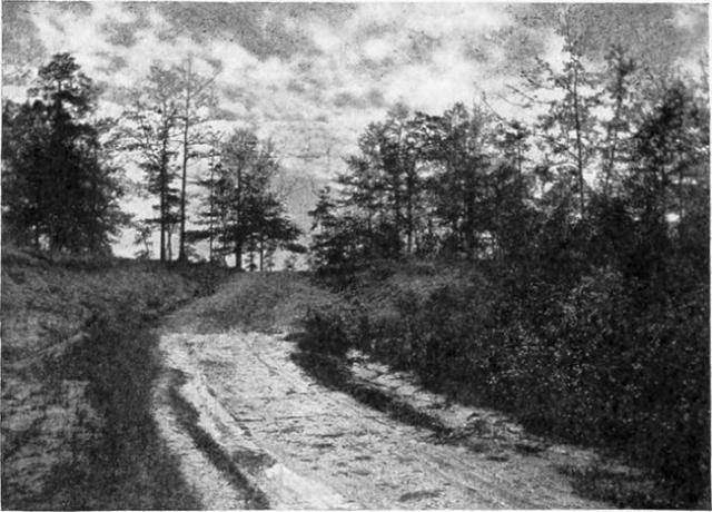 Paikka, jossa Aaron Burr vangittiin, lähellä Wakefieldiä, Alabamassa.