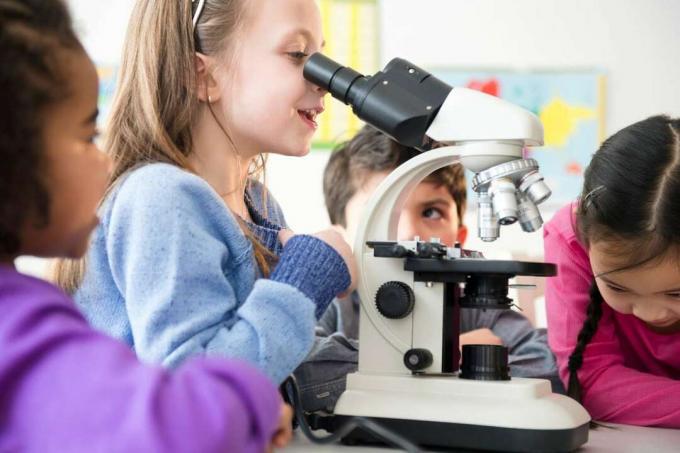 Neljä lasta suorittaa tieteellisen kokeilun mikroskoopilla havaintojen tekemiseen