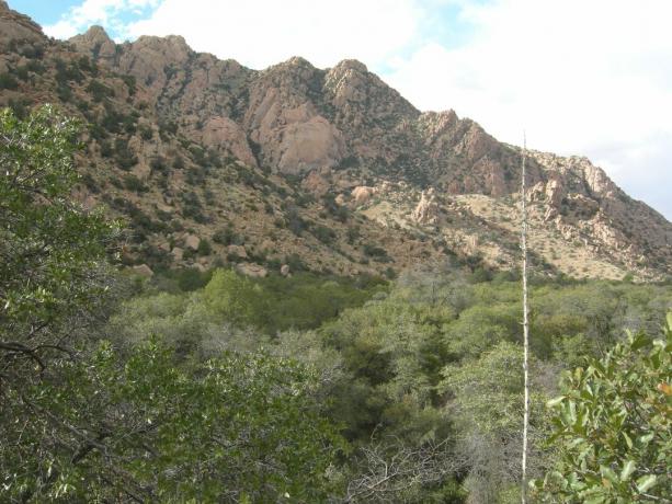 Cochisen itäinen linnoitus, Dragoon-vuoret, Kaakkois-Arizona.