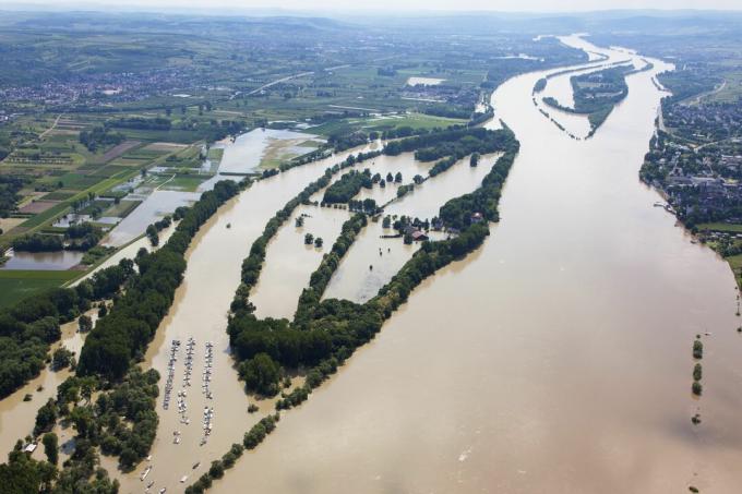 Saksa, Hessen, Eltville, Rein-joen tulva Koenigskling Aue, ilmakuva