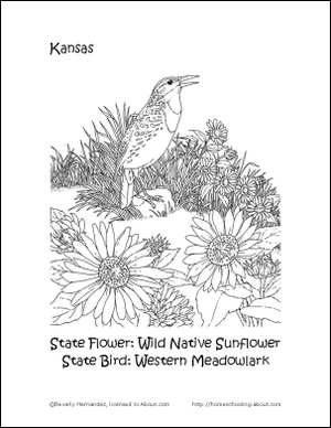 Kansas osavaltion kukka- ja osavaltion lintujen väritys sivu