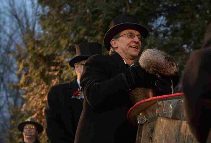 Groundhog Day Punxsutawneyssa, Pennsylvaniassa